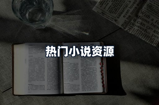 热门小说资源